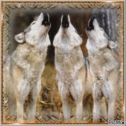 Howling Wolves - GIF เคลื่อนไหวฟรี