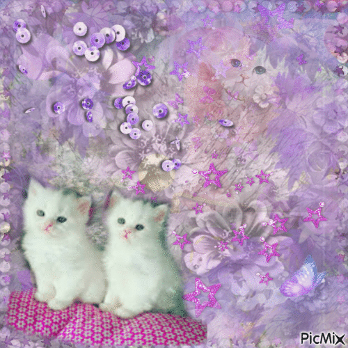 Cute Little Kitties ♥ - GIF เคลื่อนไหวฟรี