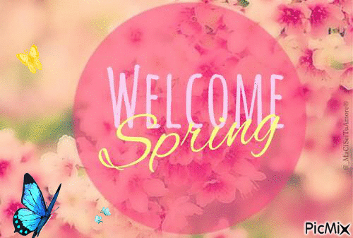 Welcome Spring butterfly - GIF animado gratis