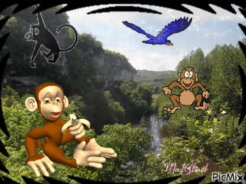 animation dans la forêt - GIF animé gratuit