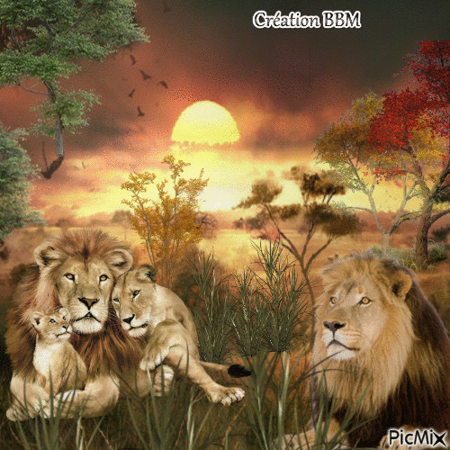 Lions par BBM - Gratis geanimeerde GIF