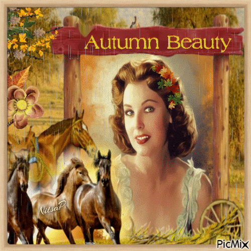 Autumn beauty -  Contest