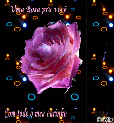 Uma rosa para você - Gratis geanimeerde GIF
