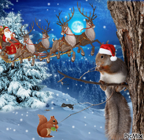 Ardilla de Navidad - Zdarma animovaný GIF