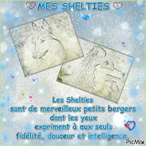 Mes Shelties! - Darmowy animowany GIF