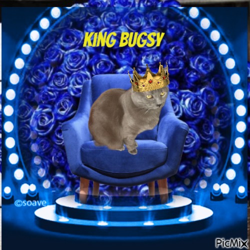 Bugsy - png grátis