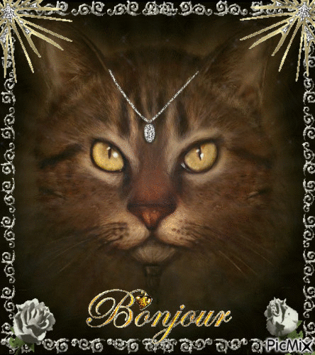 ♥ Bonjour chat,va ♥ - Besplatni animirani GIF