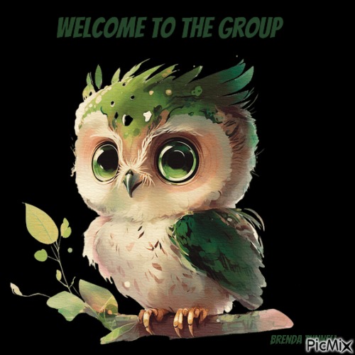 welcome owl - ücretsiz png