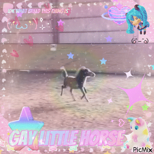 Gay little horse - Gratis animeret GIF