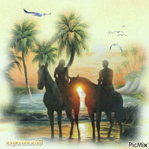 Les chevaux et couple sur chevaux au coucher du soleil - Δωρεάν κινούμενο GIF