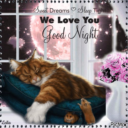 Sweet Dreams, sleep tight. Love you. Good Night - Free animated GIF