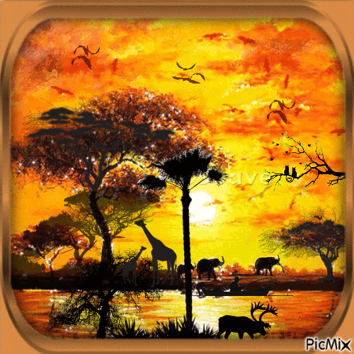 Atardecer en África. - Free animated GIF