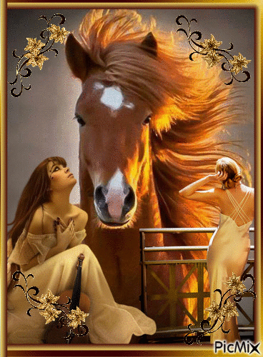 kobieta i koń - Безплатен анимиран GIF