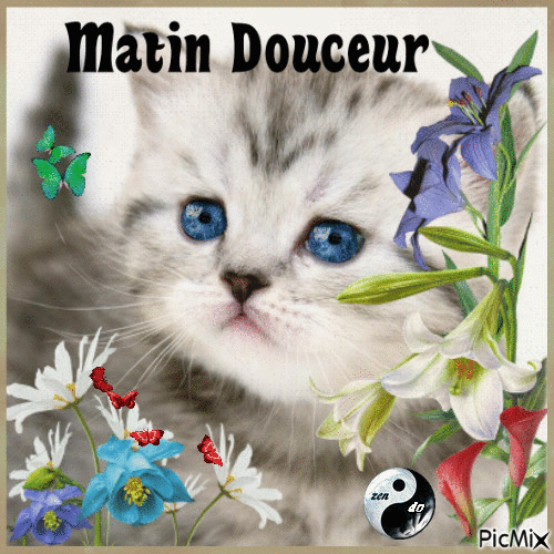 matin douceur - Δωρεάν κινούμενο GIF