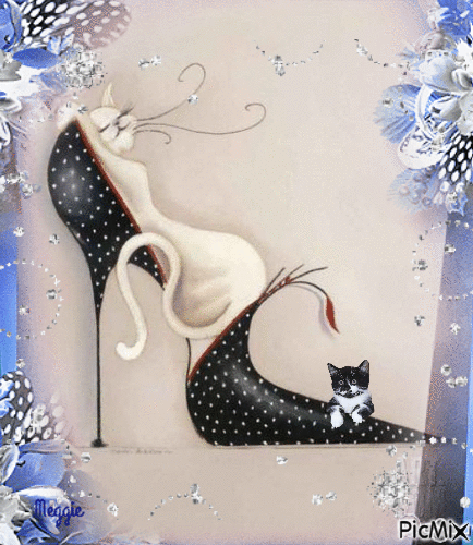 cat in a shoe - Бесплатный анимированный гифка