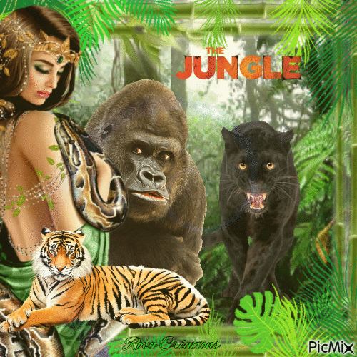 Concours : Jungle - GIF เคลื่อนไหวฟรี