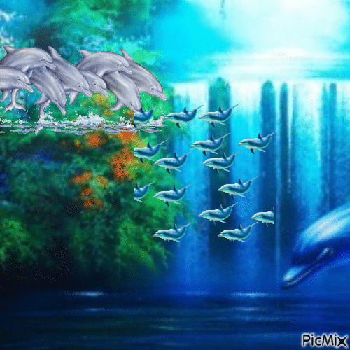La rivière - Darmowy animowany GIF