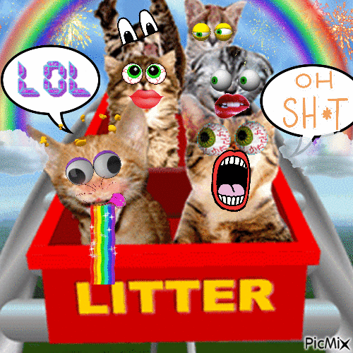 Funny Cats - GIF animado grátis