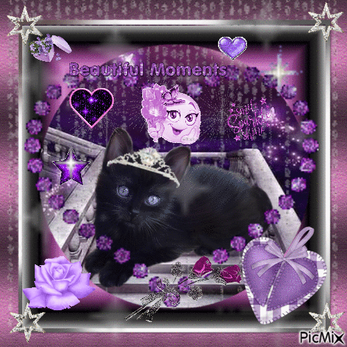 purple kitty - Бесплатный анимированный гифка