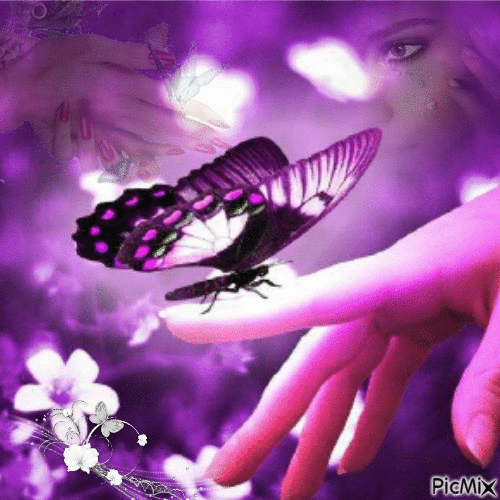 les papillons♥ - Ilmainen animoitu GIF