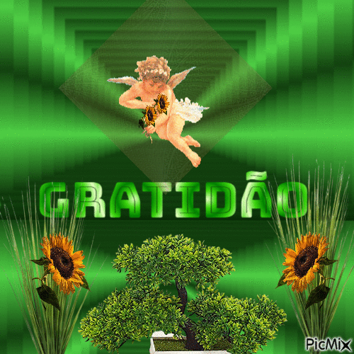 GRATIDÃO - Zdarma animovaný GIF
