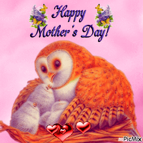 mothers day owl - 免费动画 GIF