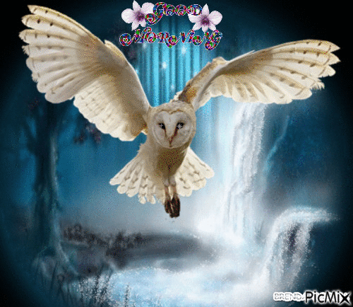 GOOD MORNING OWL 9 - GIF animé gratuit
