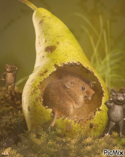 Tres ratones y una pera - Free animated GIF