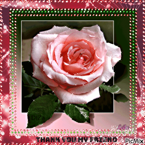 Thank You my Friend. Rose for You - GIF animate gratis