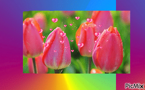 tulip - Безплатен анимиран GIF