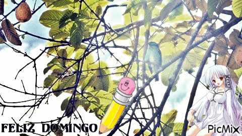 No Canto da Saírinha - Бесплатный анимированный гифка