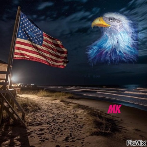God Bless The U.S.A - kostenlos png