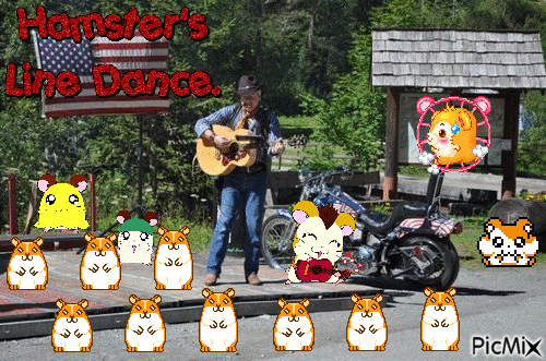 Hamster's line dance. - GIF animasi gratis