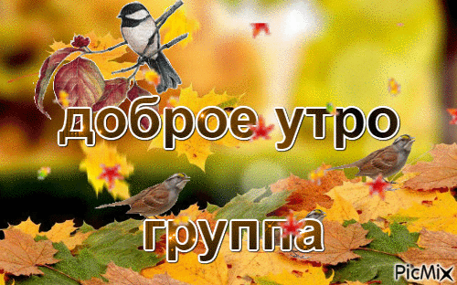С.В. - Ingyenes animált GIF