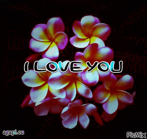 i love you - 免费动画 GIF
