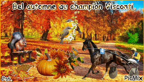 Le champion Visconti. - 無料のアニメーション GIF