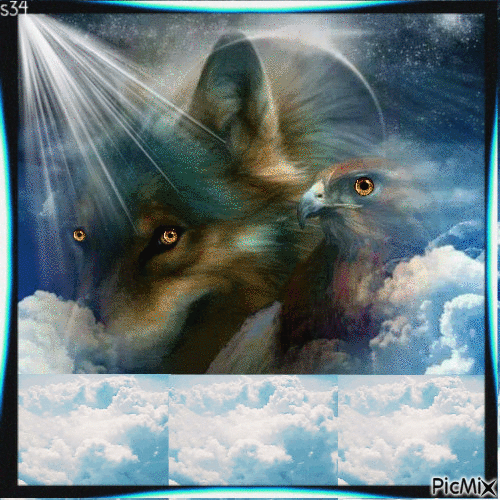 Wolf and Eagle - Free animated GIF