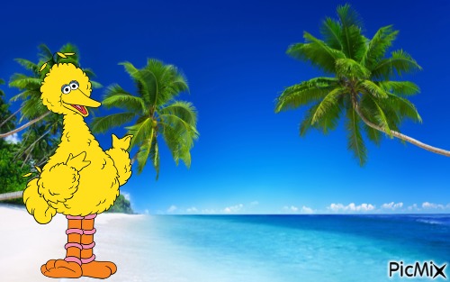 Big Bird on beach - gratis png
