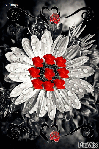 Çiçek Gif (14) - Безплатен анимиран GIF