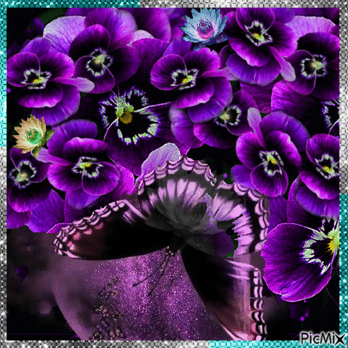 violets - Besplatni animirani GIF