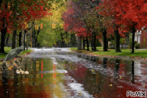 Autumn rain - Darmowy animowany GIF