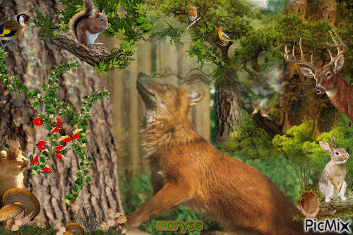 le renard et les ecureuils - GIF animé gratuit