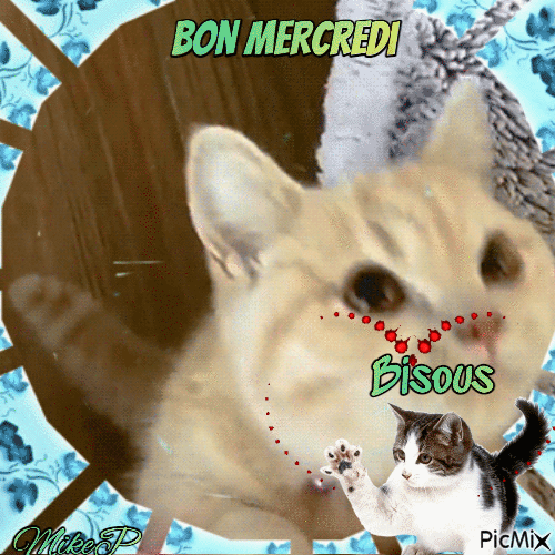 bon mercredi - Бесплатный анимированный гифка