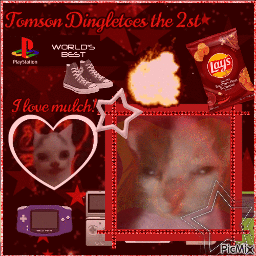 Tomson Dingletoes the 2st!!! - Zdarma animovaný GIF