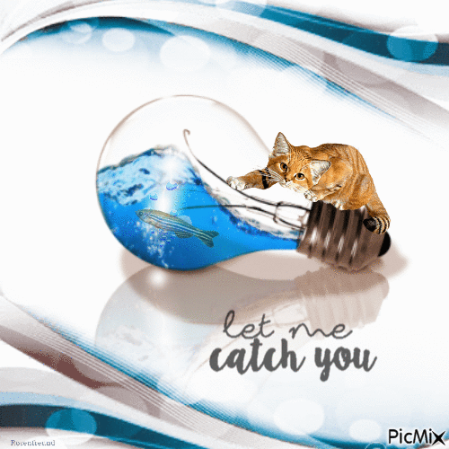 let me catch you - Free animated GIF