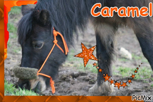 Caramel ♥ - Darmowy animowany GIF
