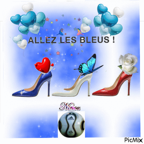 Allez les Bleus ! - 無料のアニメーション GIF