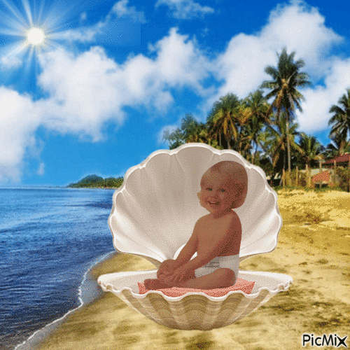 Baby in shell - Free animated GIF