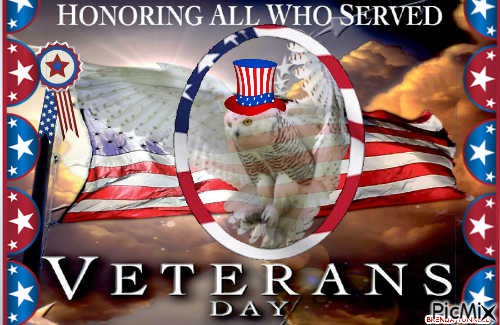 VETERANS DAY OWL TIMELINE COVER - Free PNG