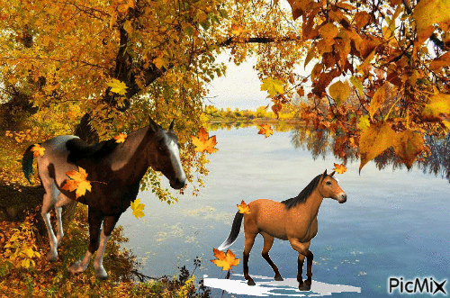 Осенний пейзаж. - Darmowy animowany GIF